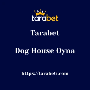 Tarabet Dog House Oyna